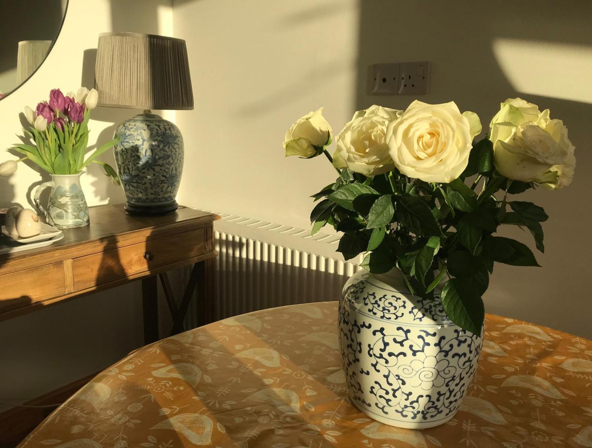 City Central Quiet Garden Apartment With Free Parking Inverness Exteriér fotografie