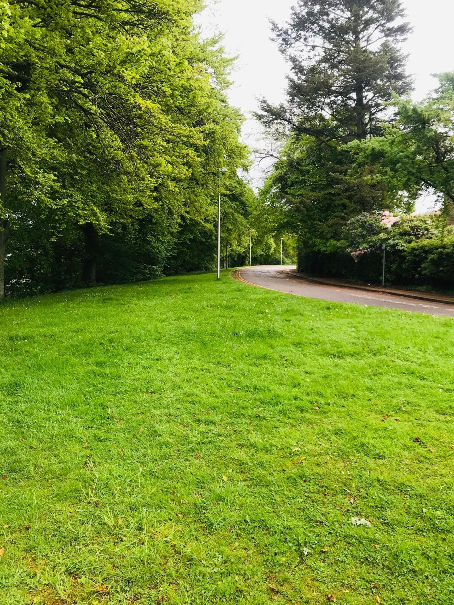 City Central Quiet Garden Apartment With Free Parking Inverness Exteriér fotografie