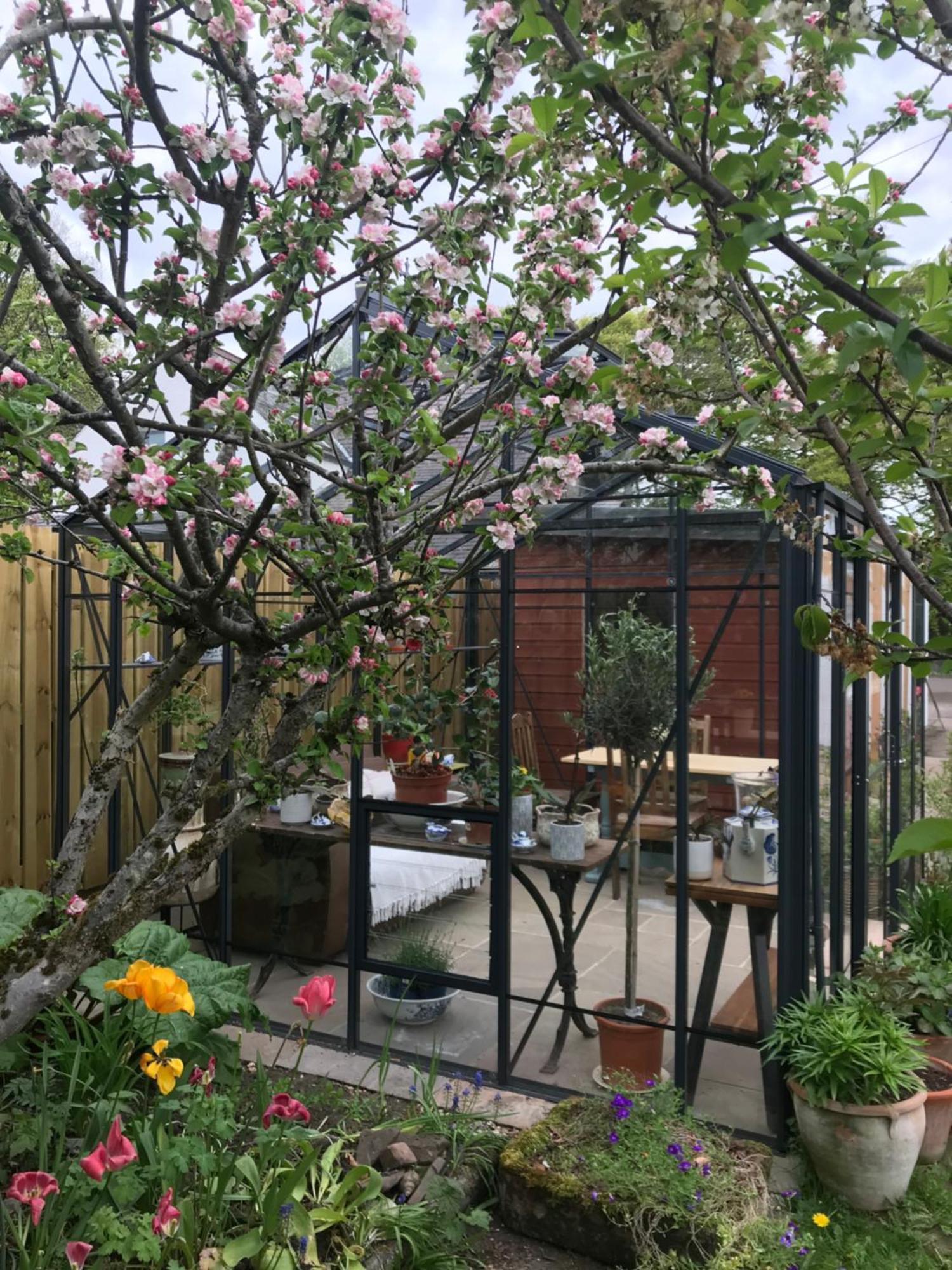 City Central Quiet Garden Apartment With Free Parking Inverness Exteriér fotografie